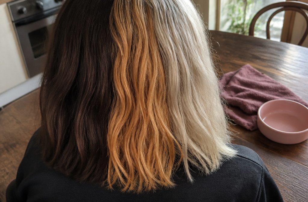 Dark hair strand with lifted cuticle scales and a warm orange inner shaft